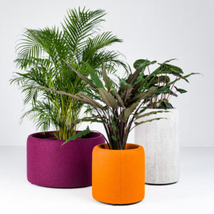 BuzziPlanter 80
